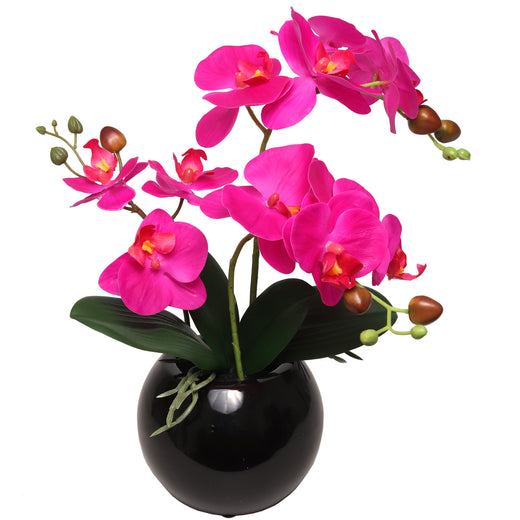 Faux Phalaenopsis Orchid in 5" Round Vase - 13"