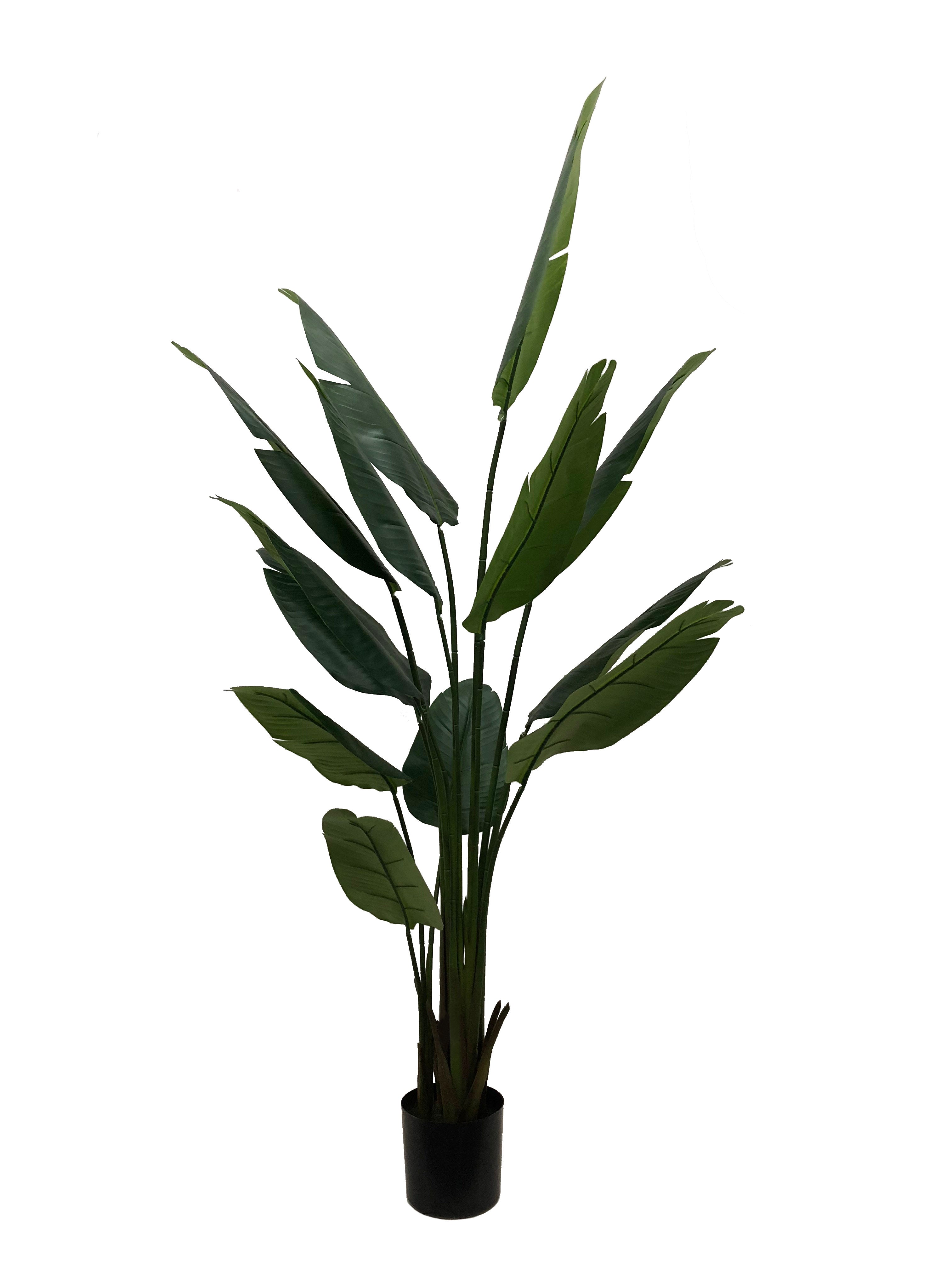 7' Artificial Bird of Paradise Plant with 13 Leaves - Tropical Indoor Greenery for Home & Office Decor Pack of 1, Floral Home by Artificial Flowers