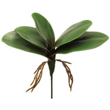 11" Phalaenopsis Leaf Cluster - Lifelike Artificial Greenery for Home & Office Décor - Elegant Faux Orchid Foliage - Ideal for Vase Arrangements, Centerpieces, and Decorative Accents
