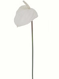 Set of 12 - Elegant 29" White Anthuriums - Lifelike Artificial Flowers for Luxurious Home Interiors and Event Decor
