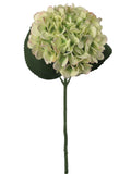Vibrant Green Hydrangea Stems - Set of 12 | 18-Inch Length | Large 7-Inch Diameter | Ideal for Stylish Home Décor, Wedding Centerpieces, and Special Event Floral Designs, Floral Home by Artificial Flowers