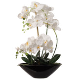 Phalaenopsis Orchid Arrangement in Black Ceramic Vase - 21" Orchid ArtificialFlowers   