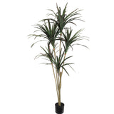 Silk Dracena Marginata , 118 Leaves House Plant in Black Pot 5'