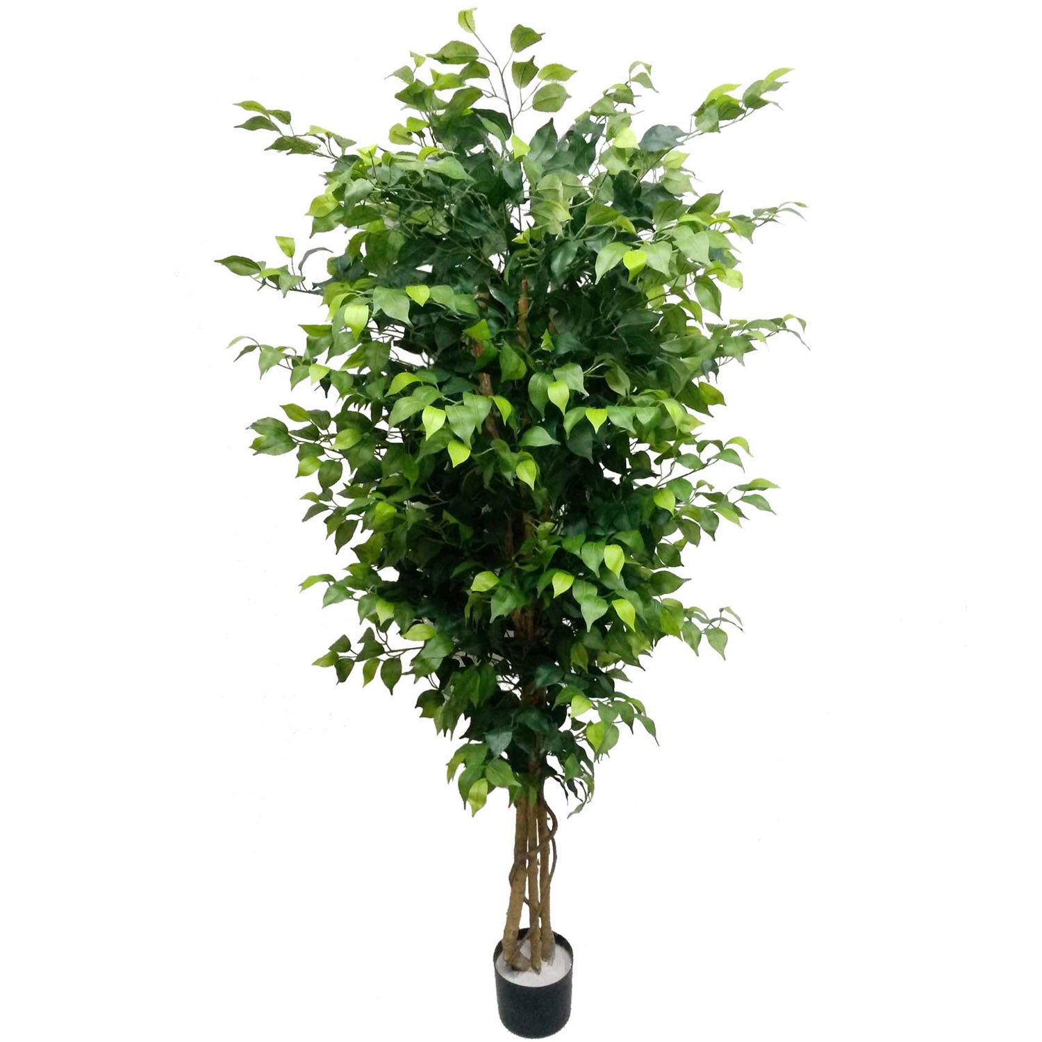 6' Artificial Silk Ficus Tree with 1,528 Leaves Artificial Trees ArtificialFlowers