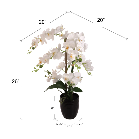 Faux Phalaenopsis Orchid Arrangement in White Ceramic Vase - 25"