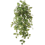 Artificial Hanging Green White Nephthytis Ivy Plant- 38
