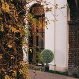 Artificial  Boxwood Ball Topiary-25" Topiaries artificialflowersdotcom