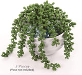 Artificial Succulent String of Pearls Pack of 3