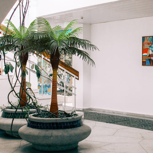 Trees & Plants
