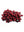 Gold Artificial Holly Berries - 8mm - 
    Burgundy