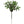 Green Artificial Boxwood Pick with 10 Fronds - 
    Green