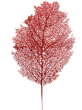 Red Glitter Mesh Leaf, Pack of 12 - 25"