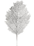 Red Glitter Mesh Leaf, Pack of 12 - 25"