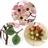 Set of 6: Pink Silk Dogwood Stems by Floral Home®