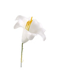 Delicate 5-Inch White Plastic Easter Lily Picks - Set of 20 | Ideal for Easter Decorations, Floral Arrangements, and Crafts