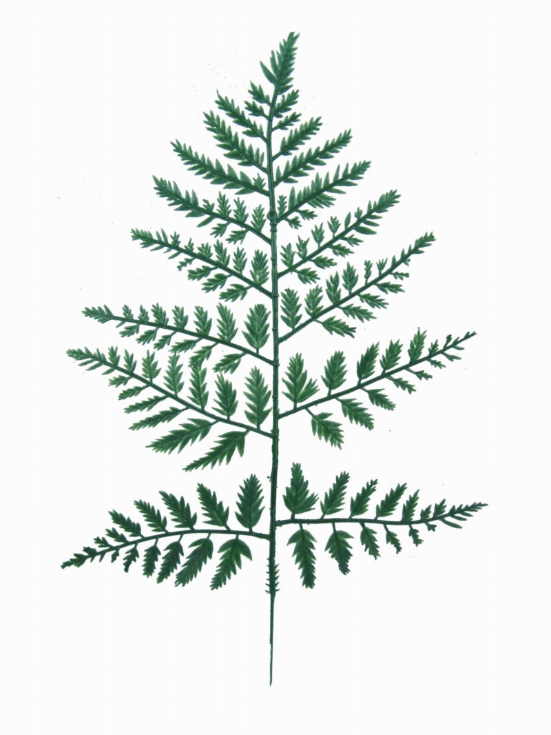 15-Inch Green Leatherleaf Foliage - Pack of 12 Pieces for Floral Arrangements, Crafts, and Wedding Decor