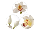 Elegant 30" Lifelike White Cymbidium Orchid - Silk Floral Centerpiece for Home and Event Decor, Floral Home by Artificial Flowers