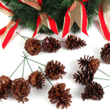 Lacquered Natural Pine Cone Picks - 2.5"