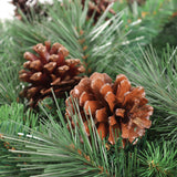 Lacquered Natural Pine Cone Picks - 2.5"