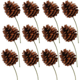 Lacquered Natural Pine Cone Picks - 2.5"