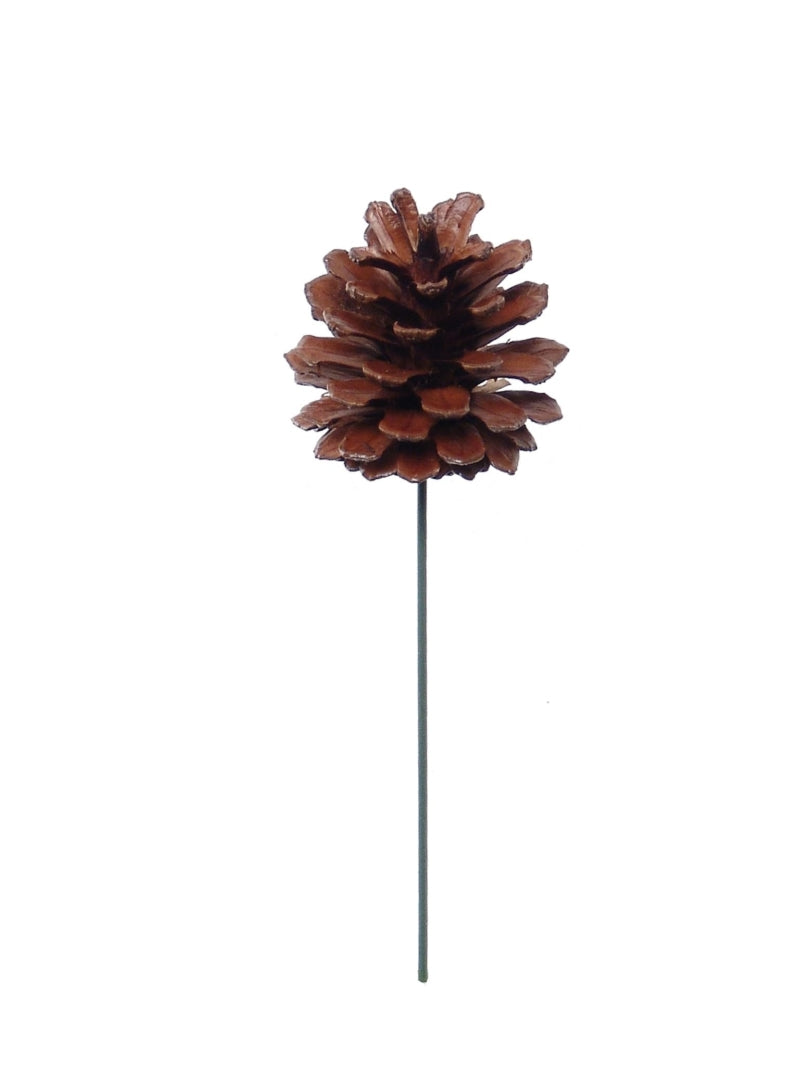 2.5-Inch Lacquered Pine Cone Picks - Set of 12 Pieces - Decorative Floral Picks with Natural Pine Cones - Perfect for Crafts, Floral Arrangements, and Holiday Decorations