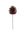 Lacquered Natural Pine Cone Picks - 2.5" - 
    Natural