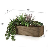 Succulent Arrangement in Planter Box by Floral Home®