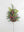 28"SNOW MIX GR/CONE SPRAY - 
    Green