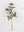16" Iced Holly Berry Spray – Frosted Holiday Greenery for Christmas Décor - 
    Green