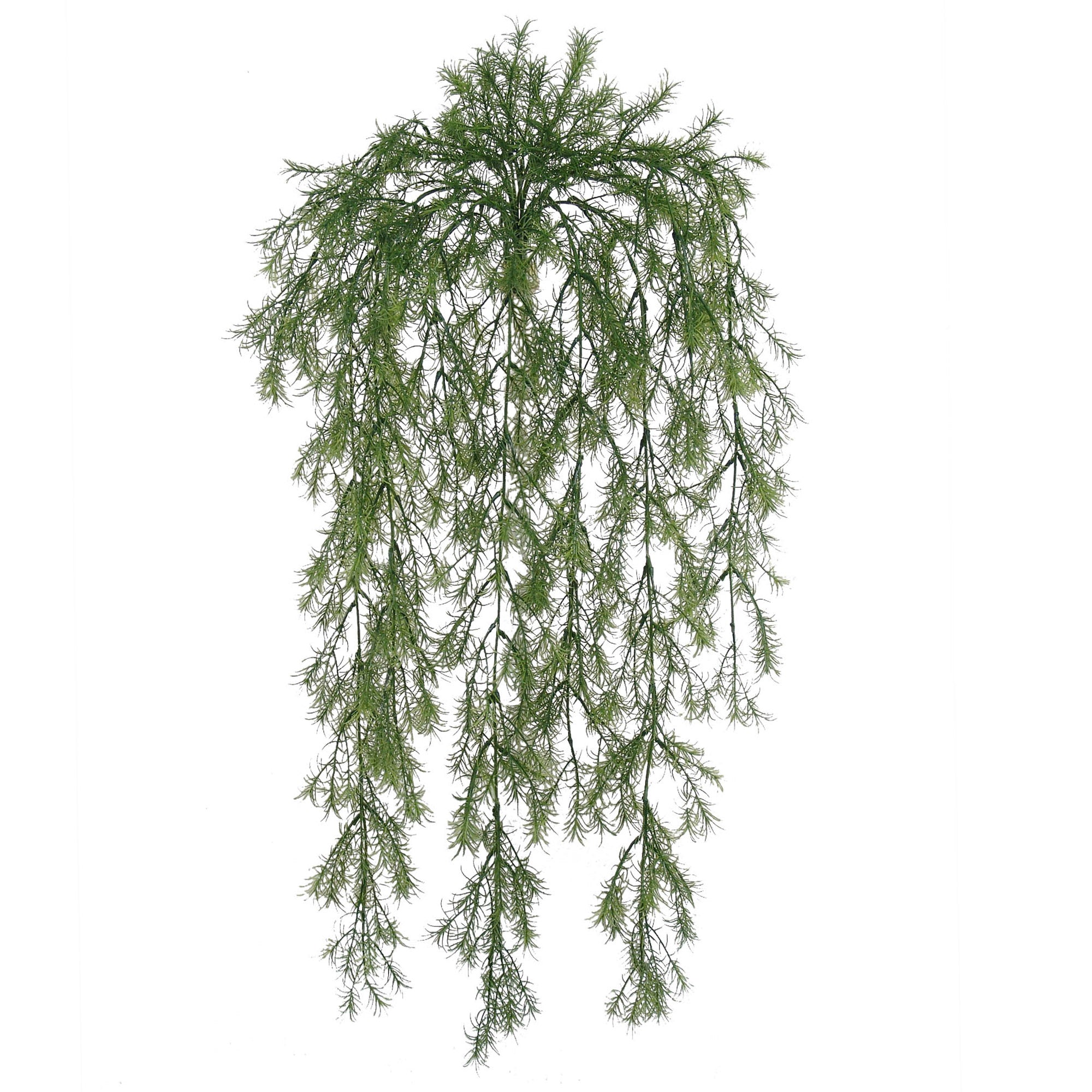 31" Artificial Springeri Hanging Bush - 195 Lush Tips for Lifelike Beauty