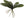 Artificial Phalaenopsis Leaf Cluster - 15" - 
    Green