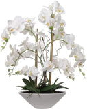 Set of 2 24.8