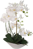 Exquisite 21" Phalaenopsis Orchid Floral Arrangement in 15" White Vase - Elegant Lifelike Silk Decor for Sophisticated Interiors