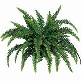 48" Artificial Boston Fern Plant with 60 Silk Fronds – Lush Indoor/Outdoor Greenery Decor