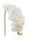Set of 2: White Silk Phalaenopsis Orchid Stems by Floral Home®