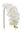 31" Silk Phalaenopsis Orchid Stem - 
    White