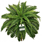 48" Boston Fern Artificial Plants with 60 Lush Silk Fronds