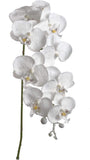 Snow Covered White Iridescent Phalaenopsis Orchid Stem | 34-Inch | Holiday Xmas Accents | Faux Real Touch Orchids | Christmas Flowers | Home & Office Decor (Set of 2)