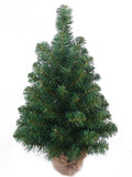 24-Inch Northern Spruce Tree in Burlap - Pack of 12 - Realistic Artificial Christmas Tree with 81 Tips, Easy Setup and Natural Look, Ideal for Indoor Holiday Decorations, Floral Home by Artificial Flowers