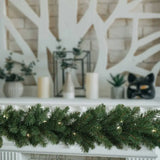 Lit Northern Spruce Garland with 50 Lights - 9' x 12"