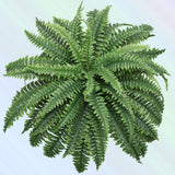 Box of 4: Green Silk Boston Ferns by Floral Home®