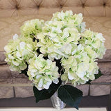Hydrangea Silk Flower Bush, Seven Heads Per Bush, UV Resistant, Indoor & Outdoor Silk Plant, Adjustable Stem, Rich Green Leaves, Wedding
