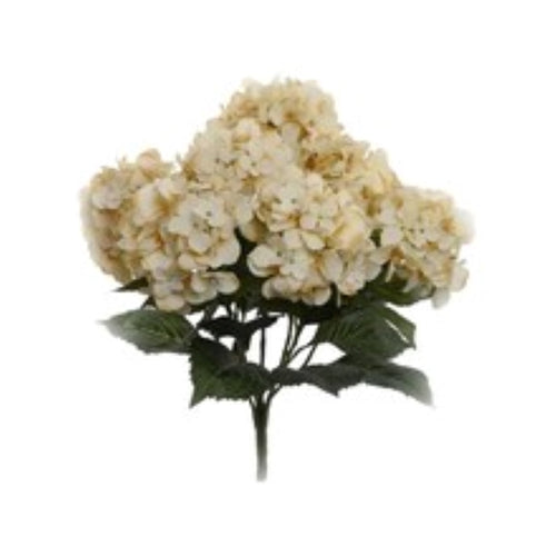 Spring Flowers