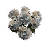 UV Mixed Blue Hydrangea Bush with 7 Silk Flowers & Leaves by Floral Home®