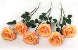 Premium Apricot Silk Artificial Roses - Set of 6 with 20" Long Stems - Perfect for Bridal Bouquets, Wedding, Party Centerpiece Decorations