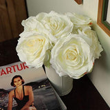 Cream Silk Roses – 6-Pack, 20" Long Stems for Home Vases, Weddings & Floral Arrangements
