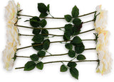 Cream Silk Roses – 6-Pack, 20" Long Stems for Home Vases, Weddings & Floral Arrangements