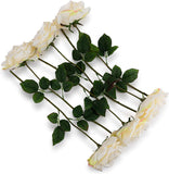 Cream Silk Roses – 6-Pack, 20" Long Stems for Home Vases, Weddings & Floral Arrangements