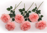 Pink Silk Roses – 6-Pack, 20" Long Stems for Home Vases, Weddings & Floral Arrangements