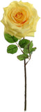 Open Roses - Yellow - 20